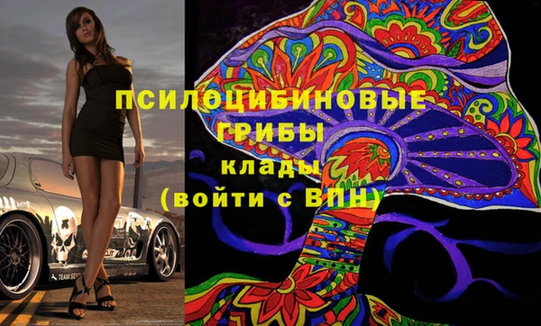 spice Корсаков