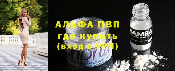 spice Корсаков